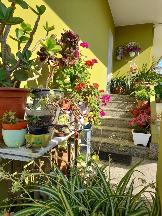 Апартаменти Corazon Do Val Da Lourina-Area Vigo Понтеведра Екстер'єр фото