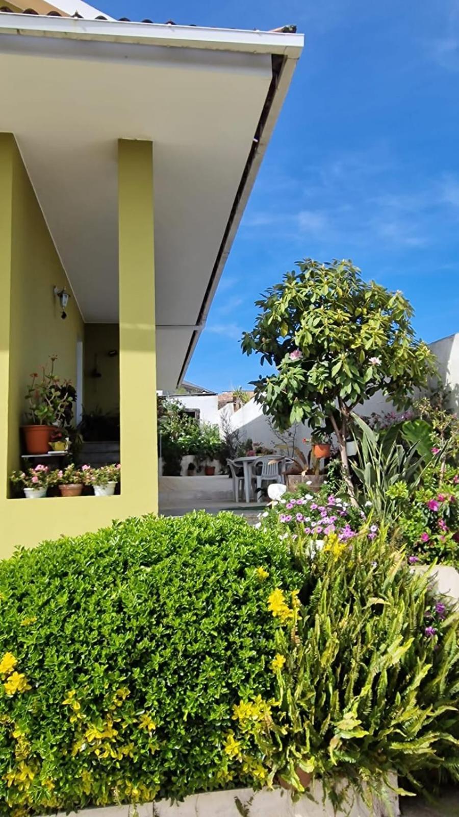 Апартаменти Corazon Do Val Da Lourina-Area Vigo Понтеведра Екстер'єр фото